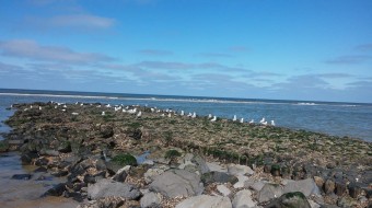 Duurzaam beheer Noordzee: nu en in de toekomst