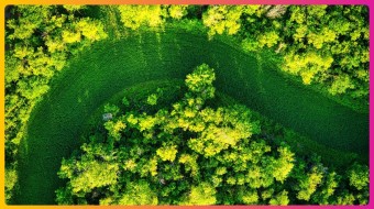 Horizonscan 2055: eerste uitkomsten Circulaire Samenleving